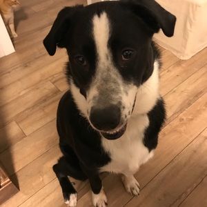 Meet your Posher, Debbie